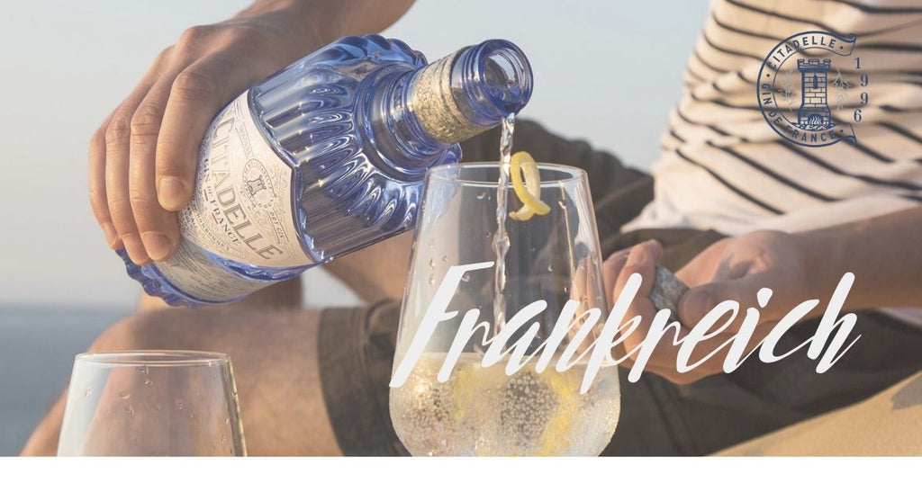 Die besten Gins aus Frankreich | online kaufen