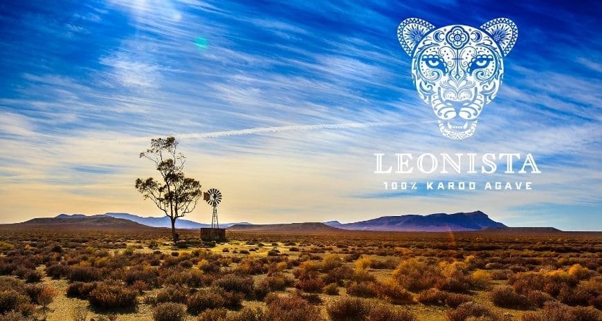 Leonista Karoo Agaven Spirit aus Südafrika | online entdecken auf Drinkevolution.de